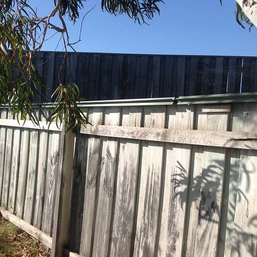 Oscillot® cat fence roller system installed